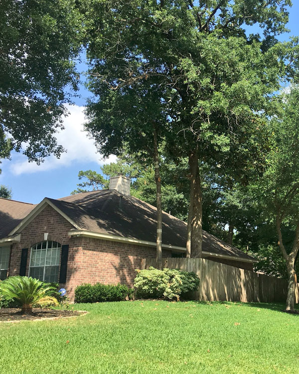 Hail Damage Restoration in North Houston, TX